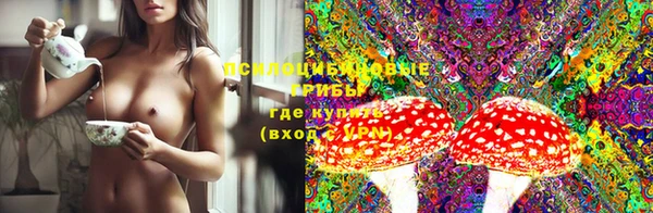 меф Заволжск