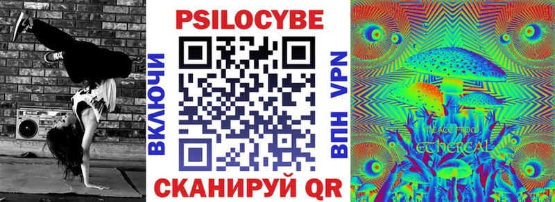 Галлюциногенные грибы Magic Shrooms  Купить где  Томмот 